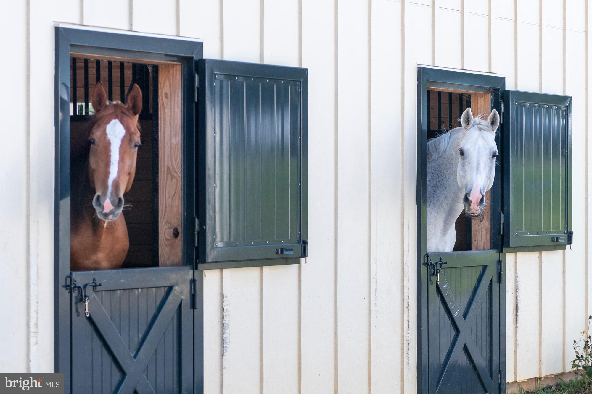 RIDGEVIEW - Residential