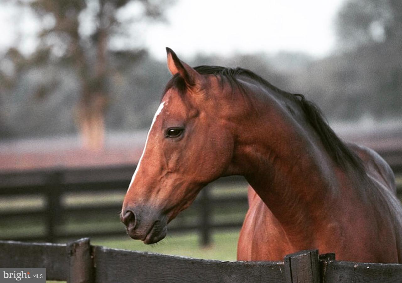 RIDGEVIEW - Residential