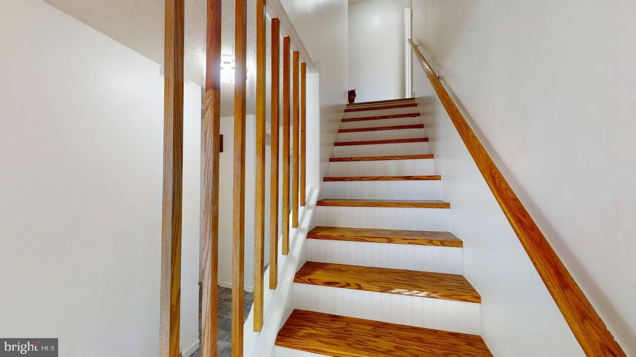 HEALY HEIGHTS - Residential