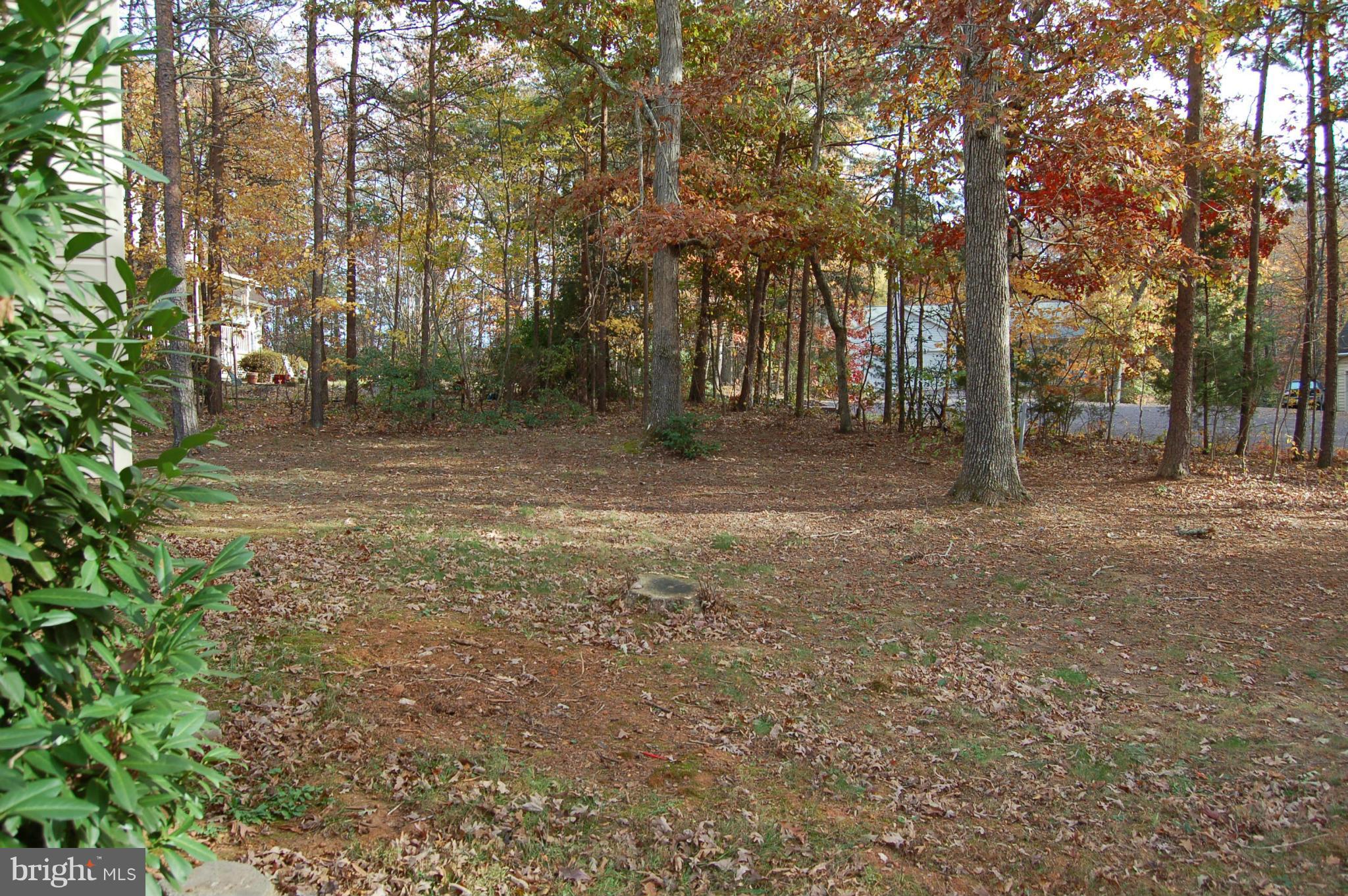 LAKE OF THE WOODS - Residential