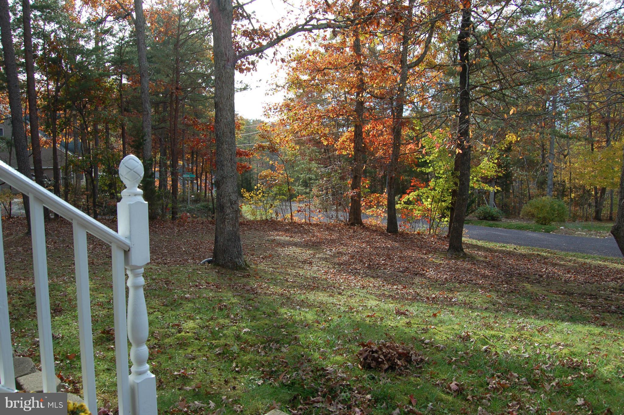 LAKE OF THE WOODS - Residential
