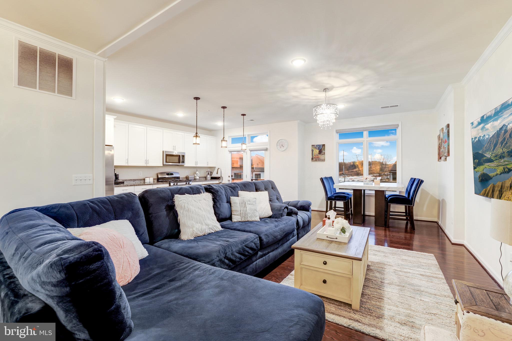 LOFTS AT VILLAGE WALK - Residential