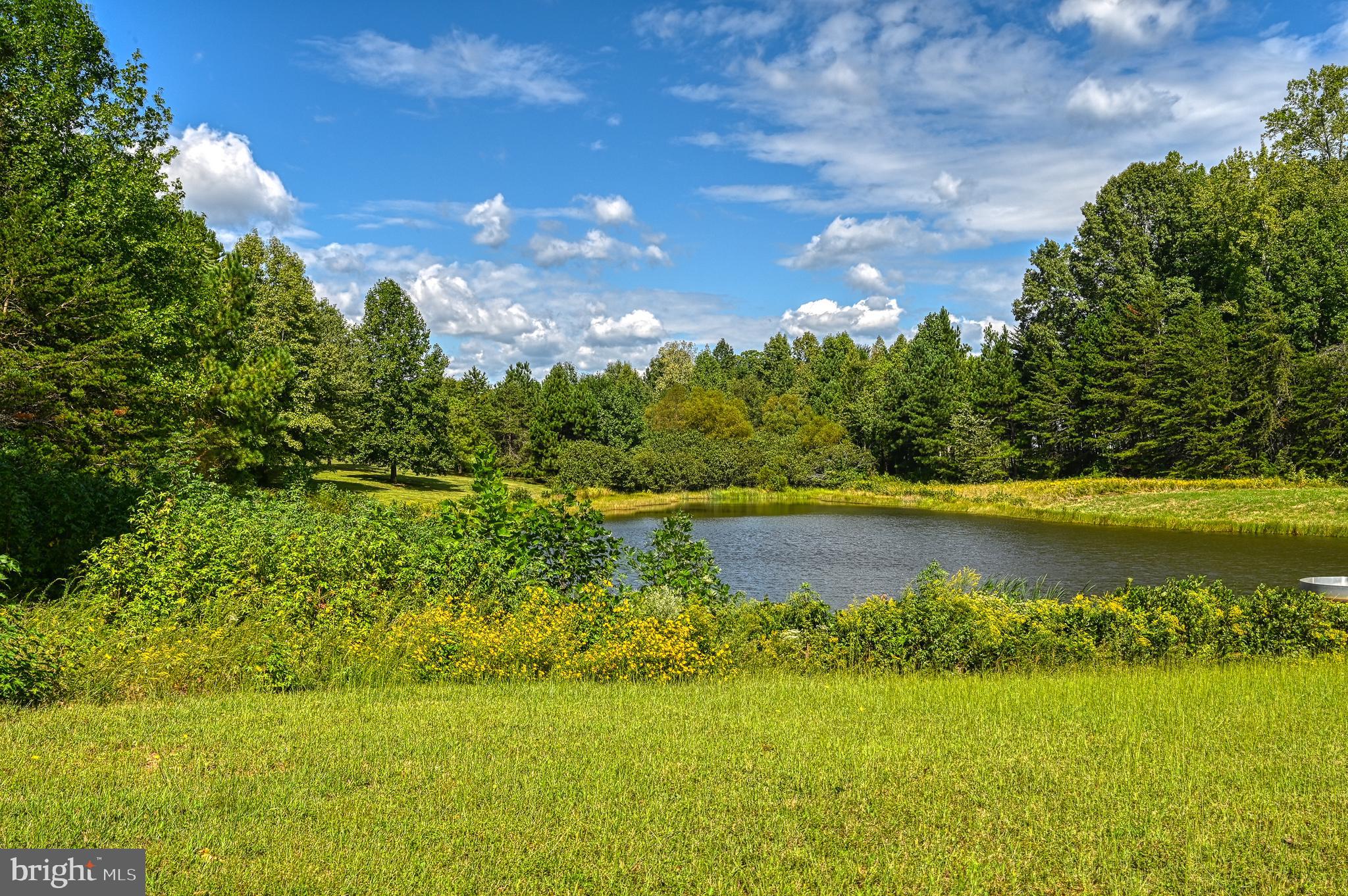 THE WATERS AT LAKE ANNA - Residential