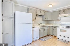 TOWNS OF OAK SPRINGS - Residential Lease