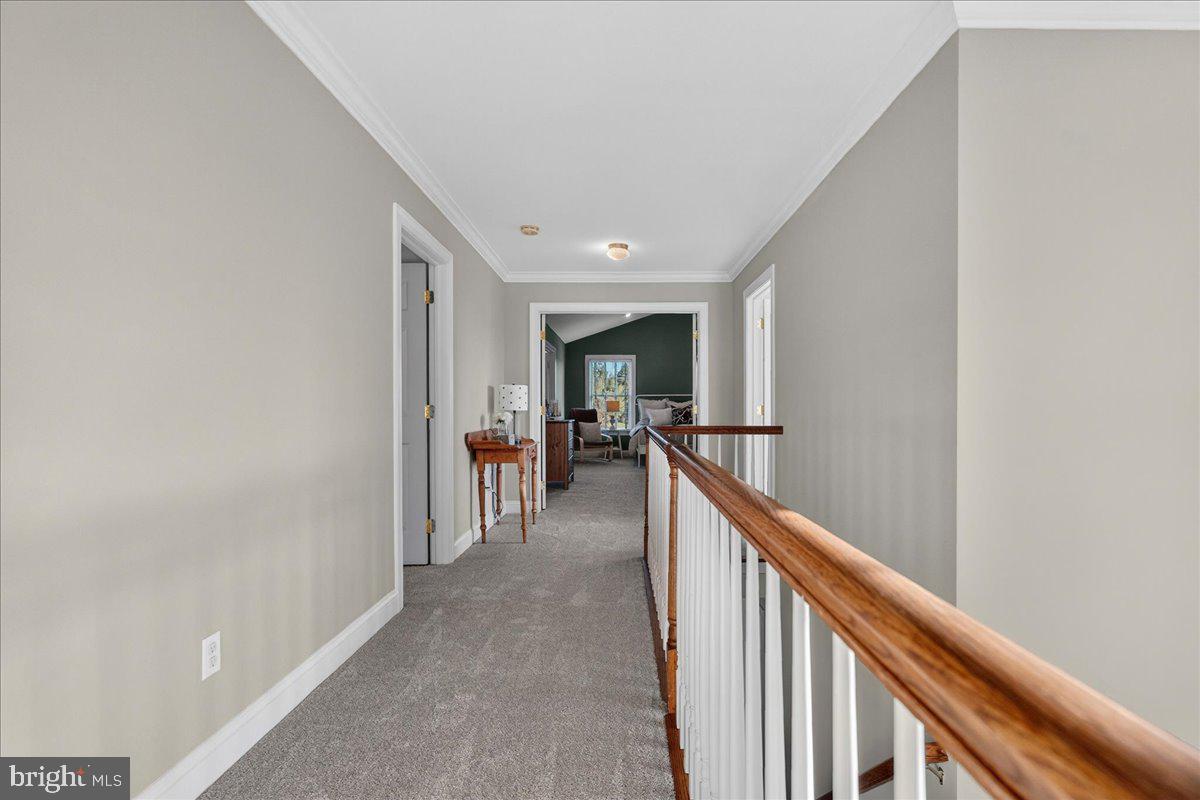 FERGUSON HILL - Residential