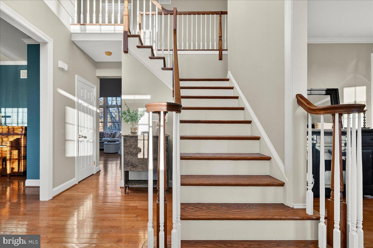 FERGUSON HILL - Residential