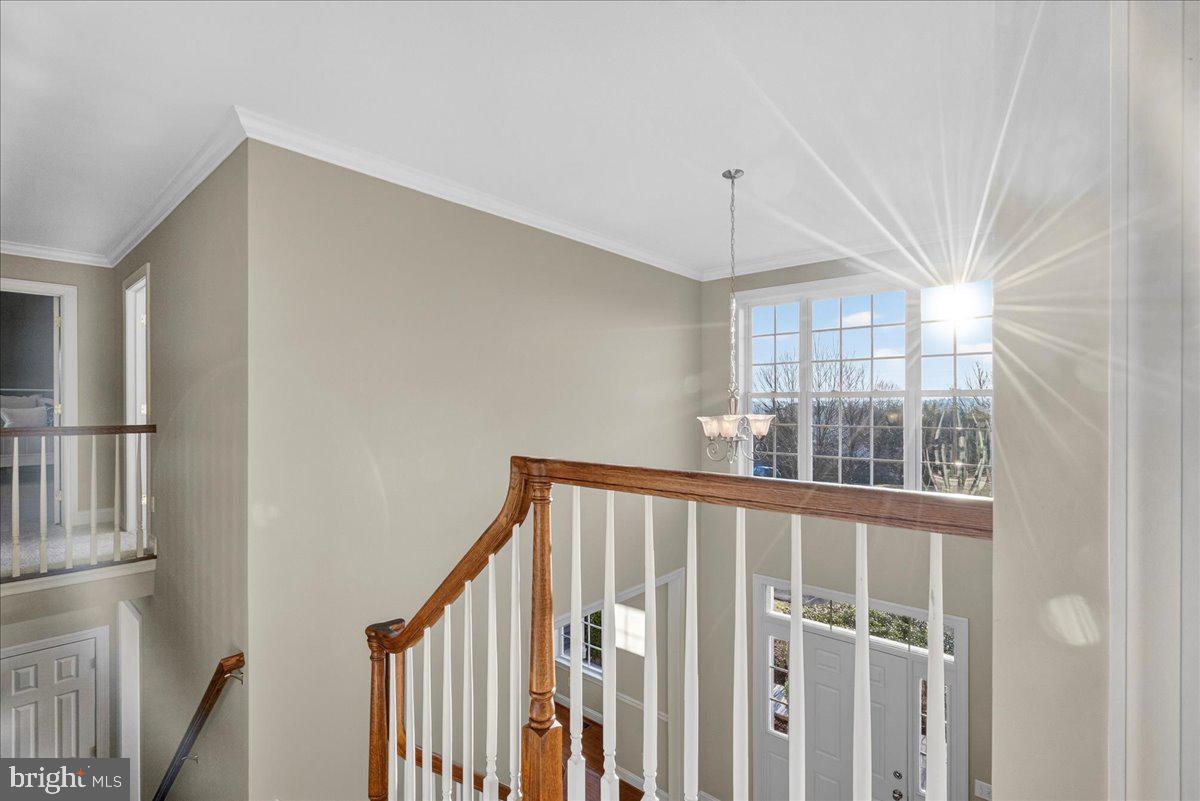 FERGUSON HILL - Residential