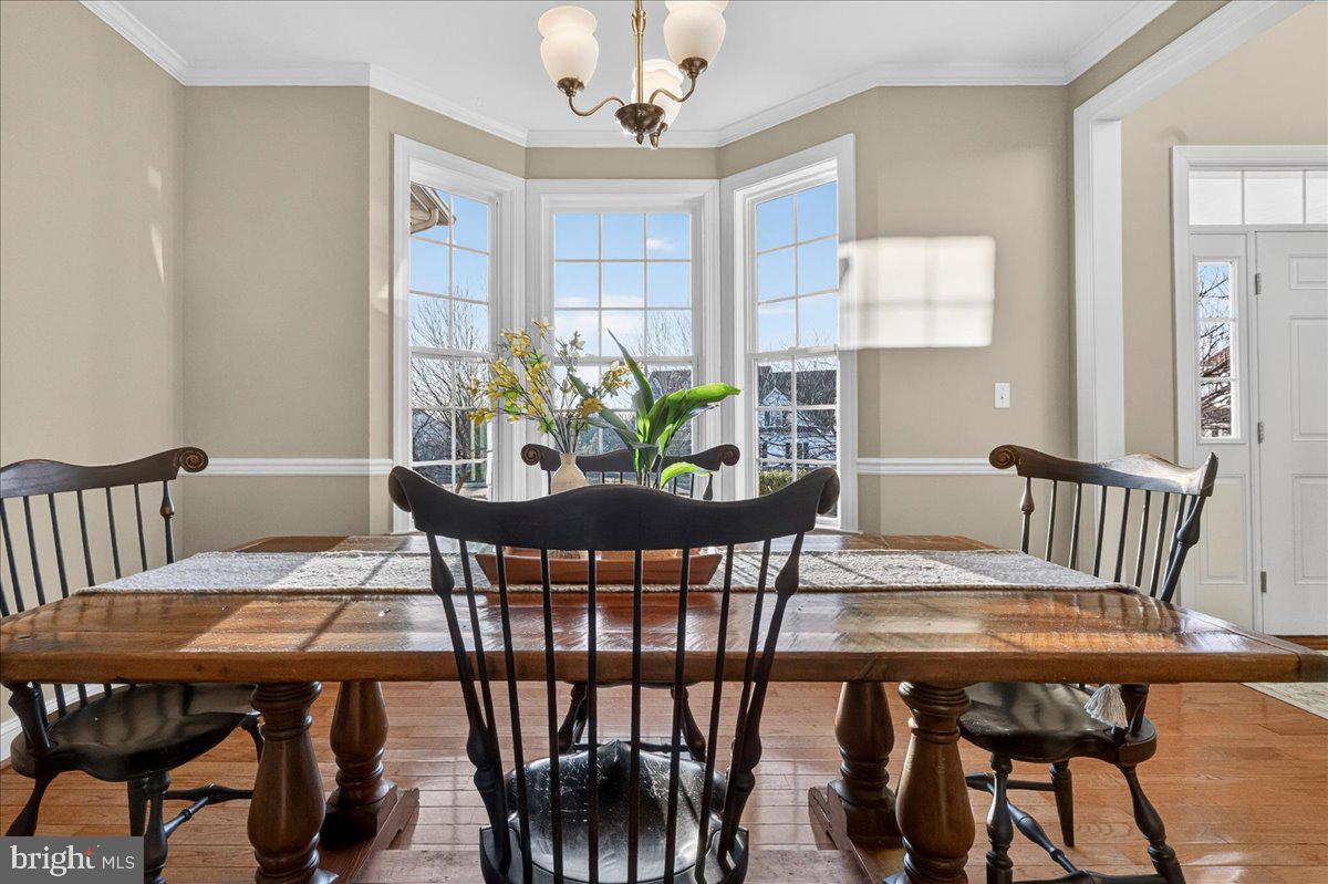 FERGUSON HILL - Residential