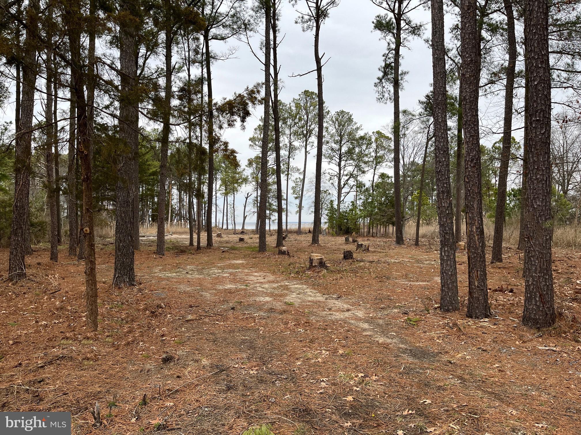 HUDSON/NECK DISTRICT - Land