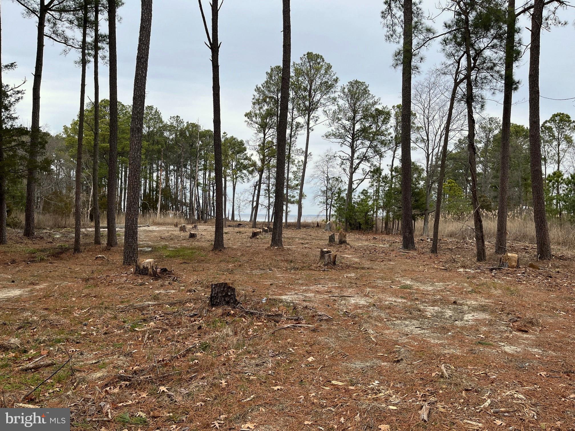 HUDSON/NECK DISTRICT - Land