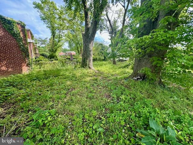 OXON RUN HILLS - Residential