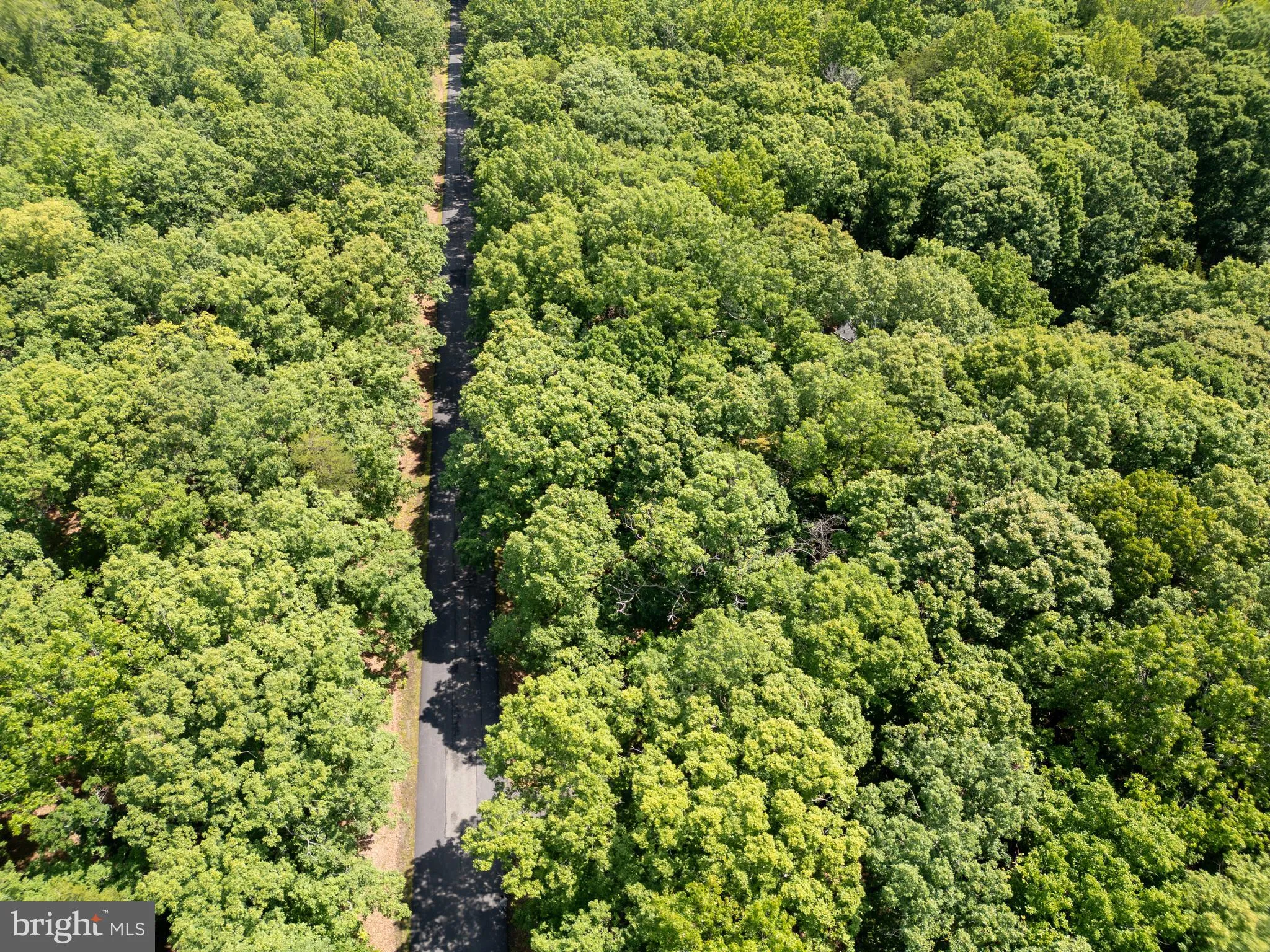 Fredericksburg, Virginia 22407, United States, 4 Bedrooms Bedrooms, ,3 BathroomsBathrooms,Residential,Active,143961