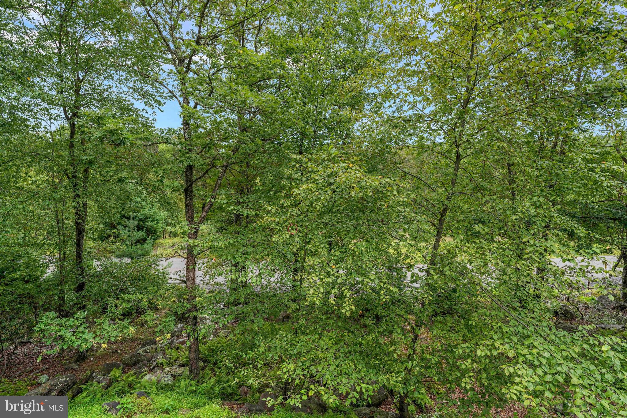 LAURELWOODS - Residential