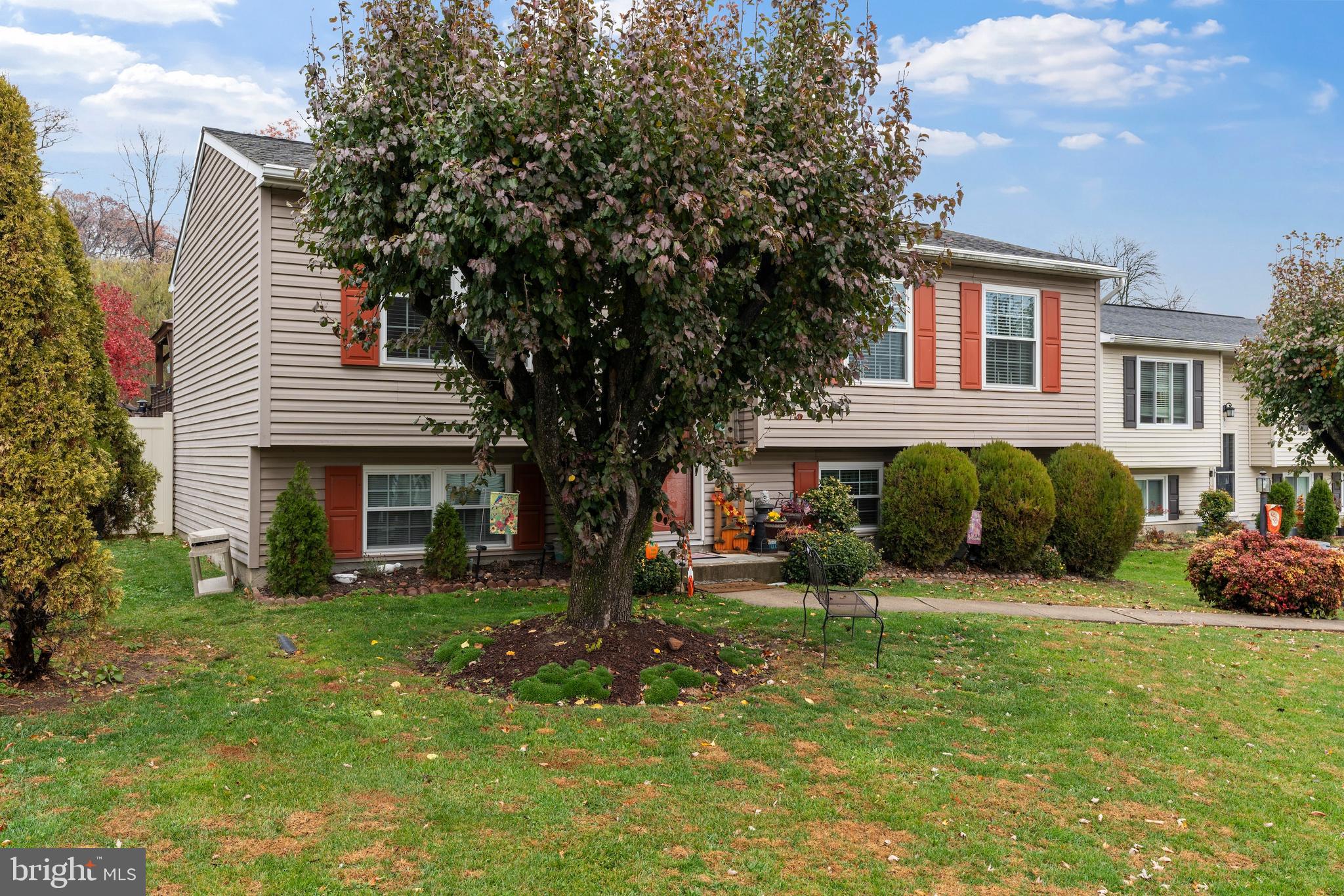 MAZZETTA - Residential