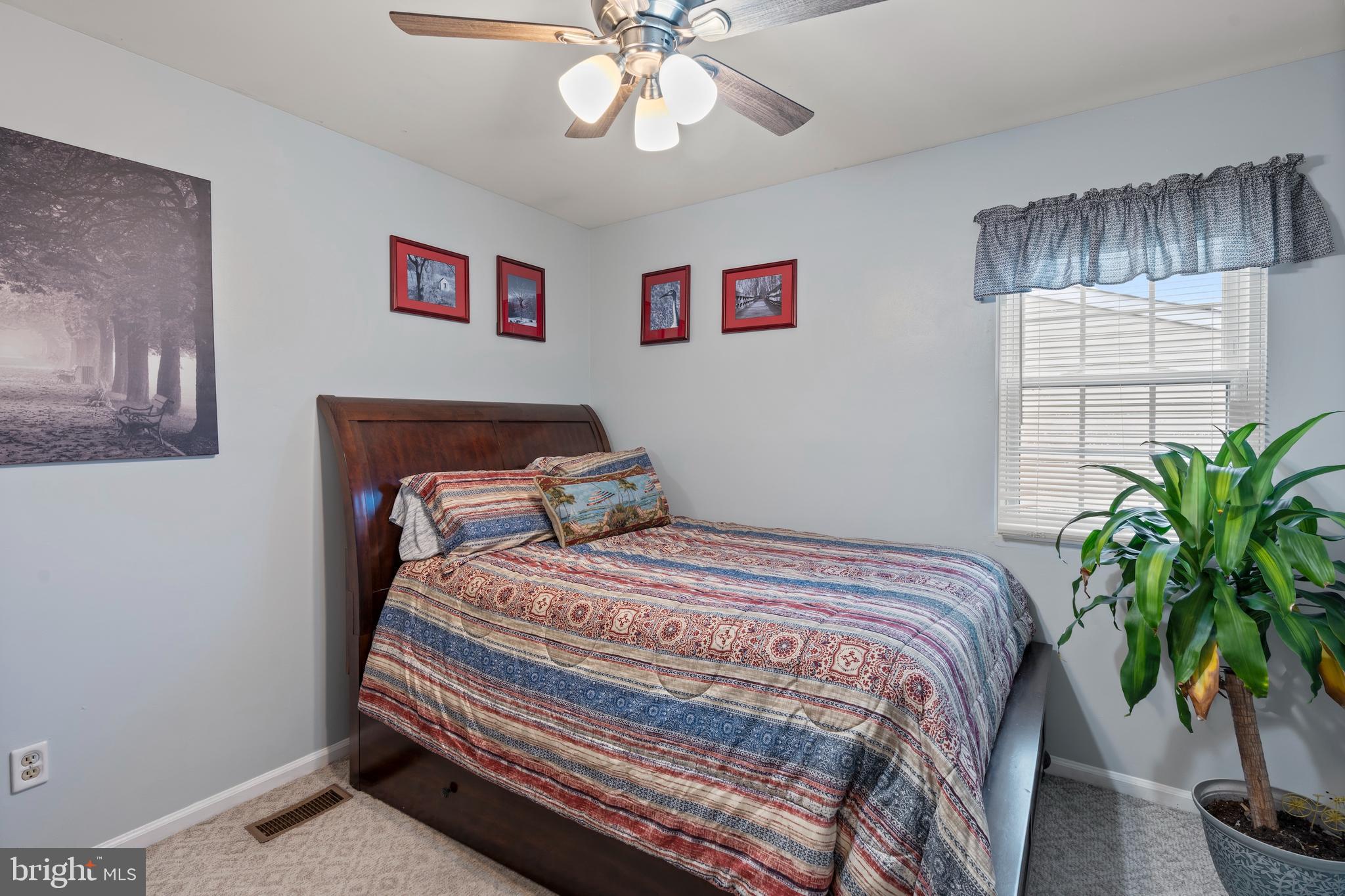 MAZZETTA - Residential