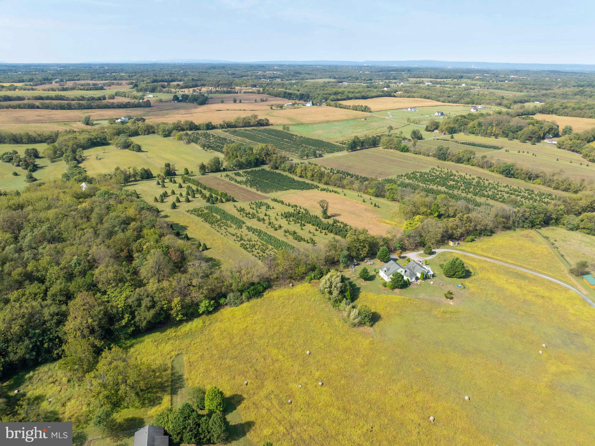 NONE AVAILABLE - Farm