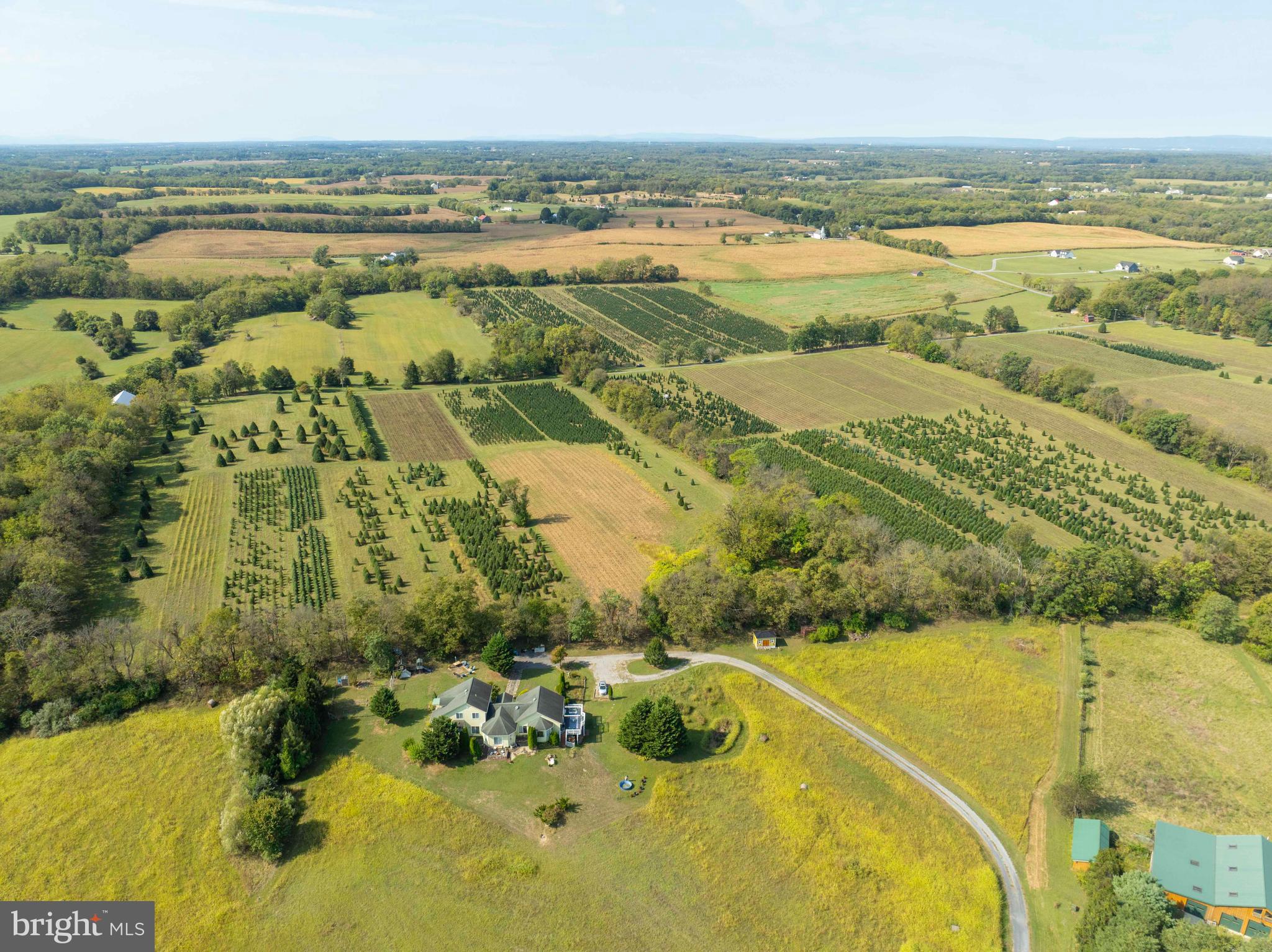 NONE AVAILABLE - Farm