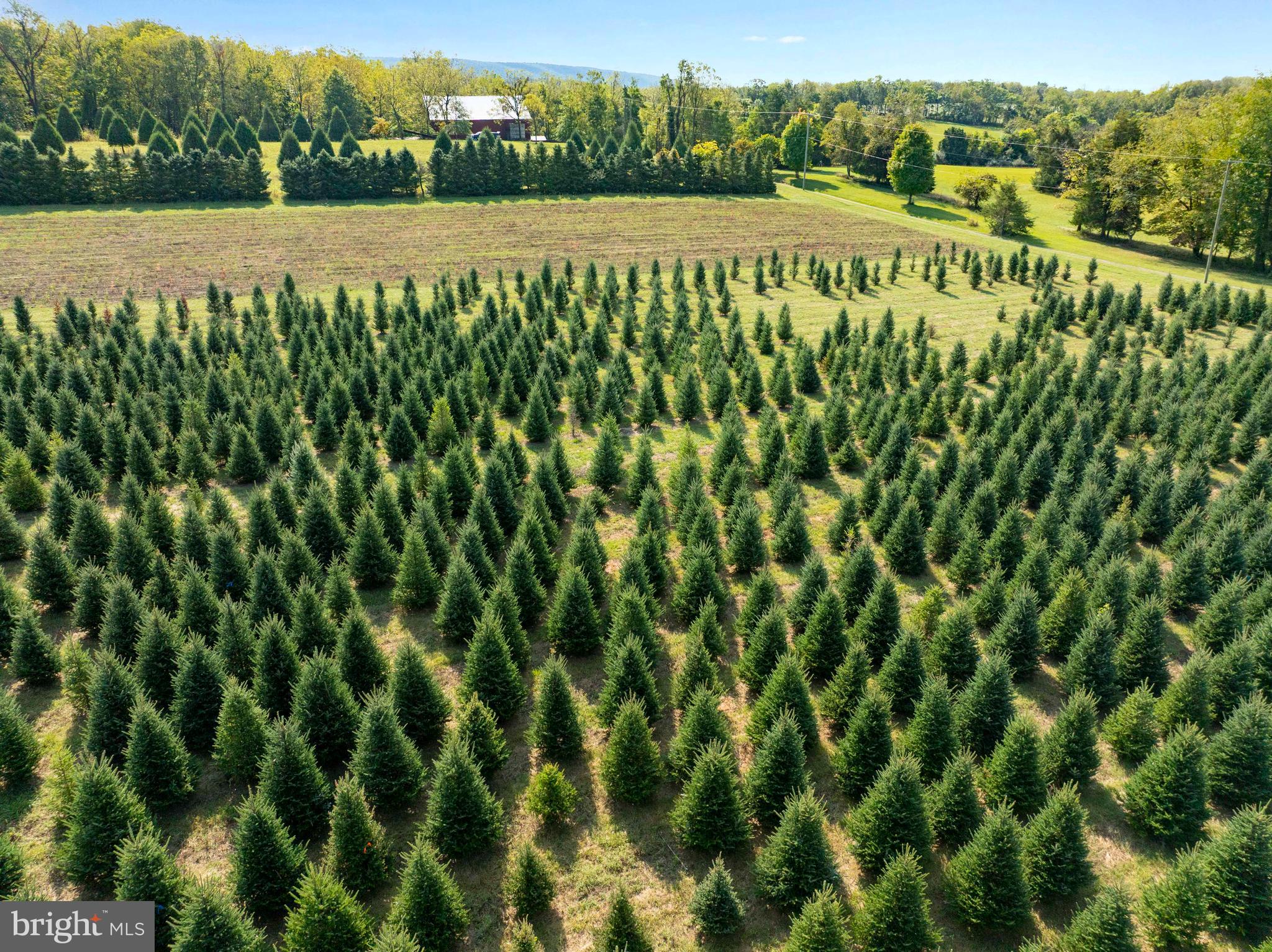 NONE AVAILABLE - Farm