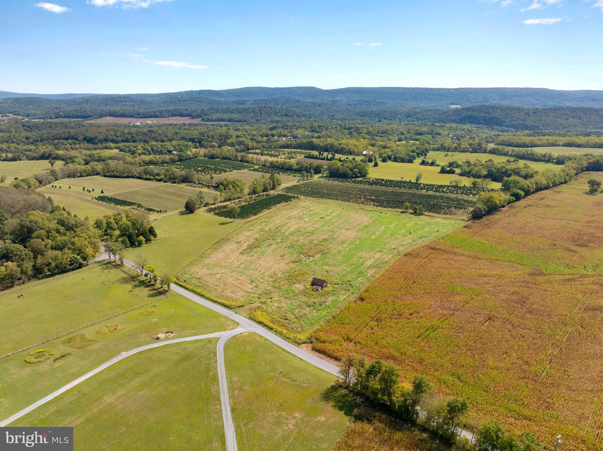 NONE AVAILABLE - Farm