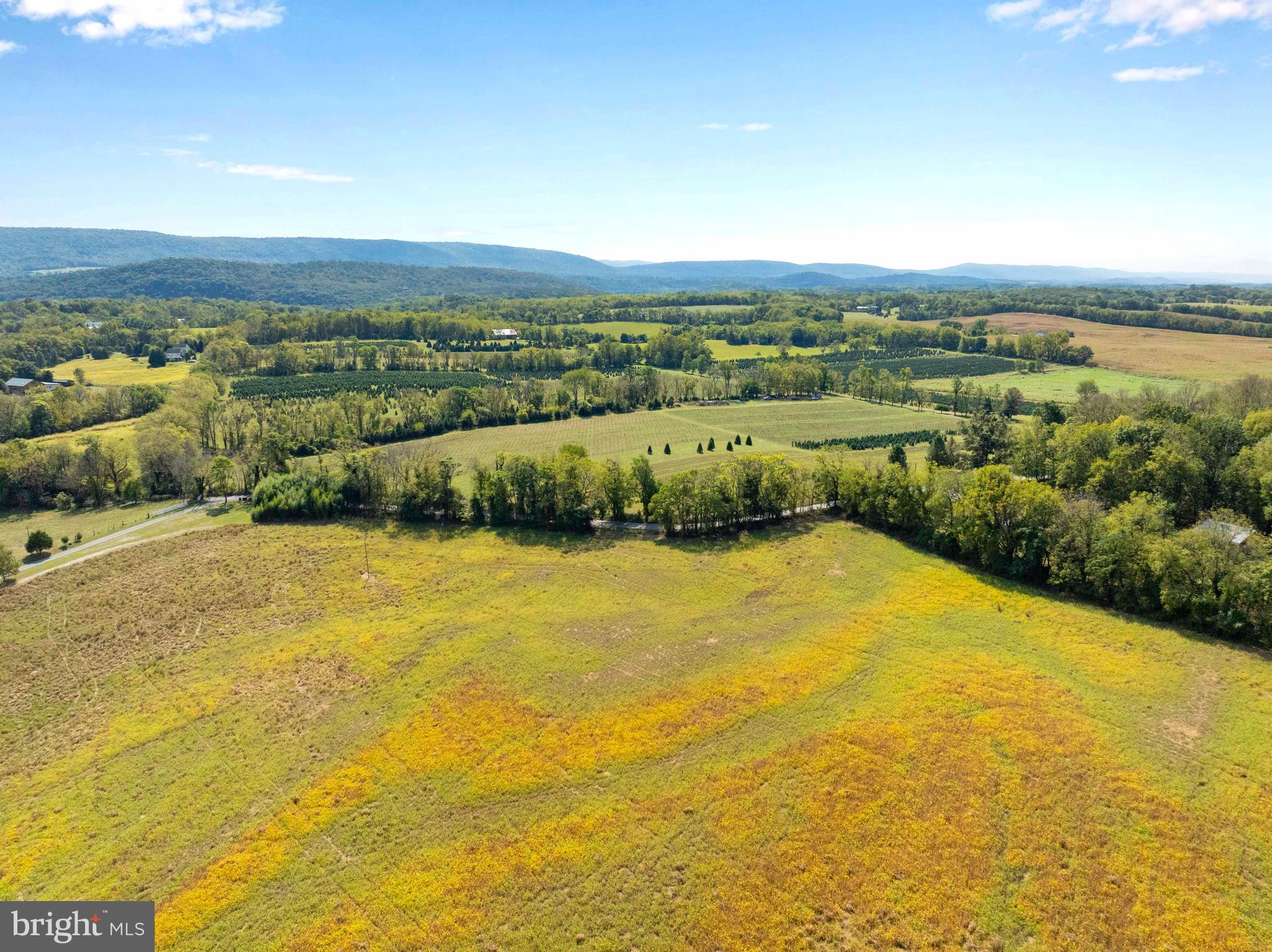 NONE AVAILABLE - Farm