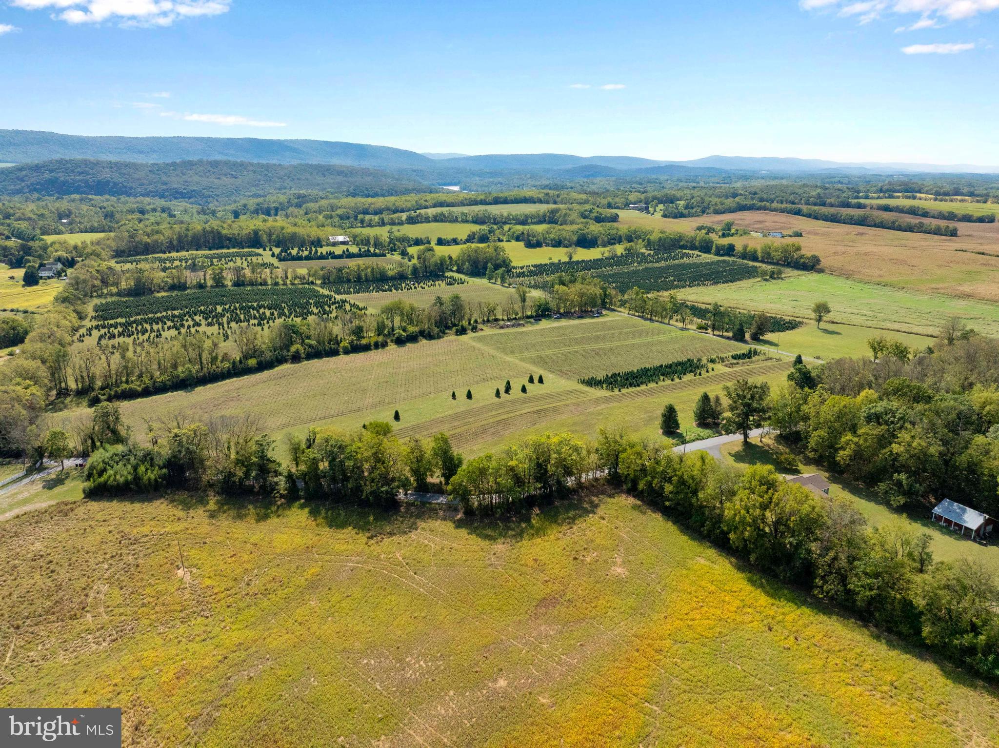 NONE AVAILABLE - Farm