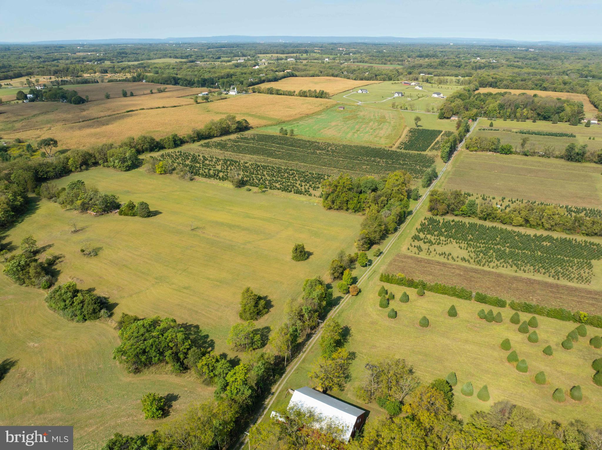 NONE AVAILABLE - Farm