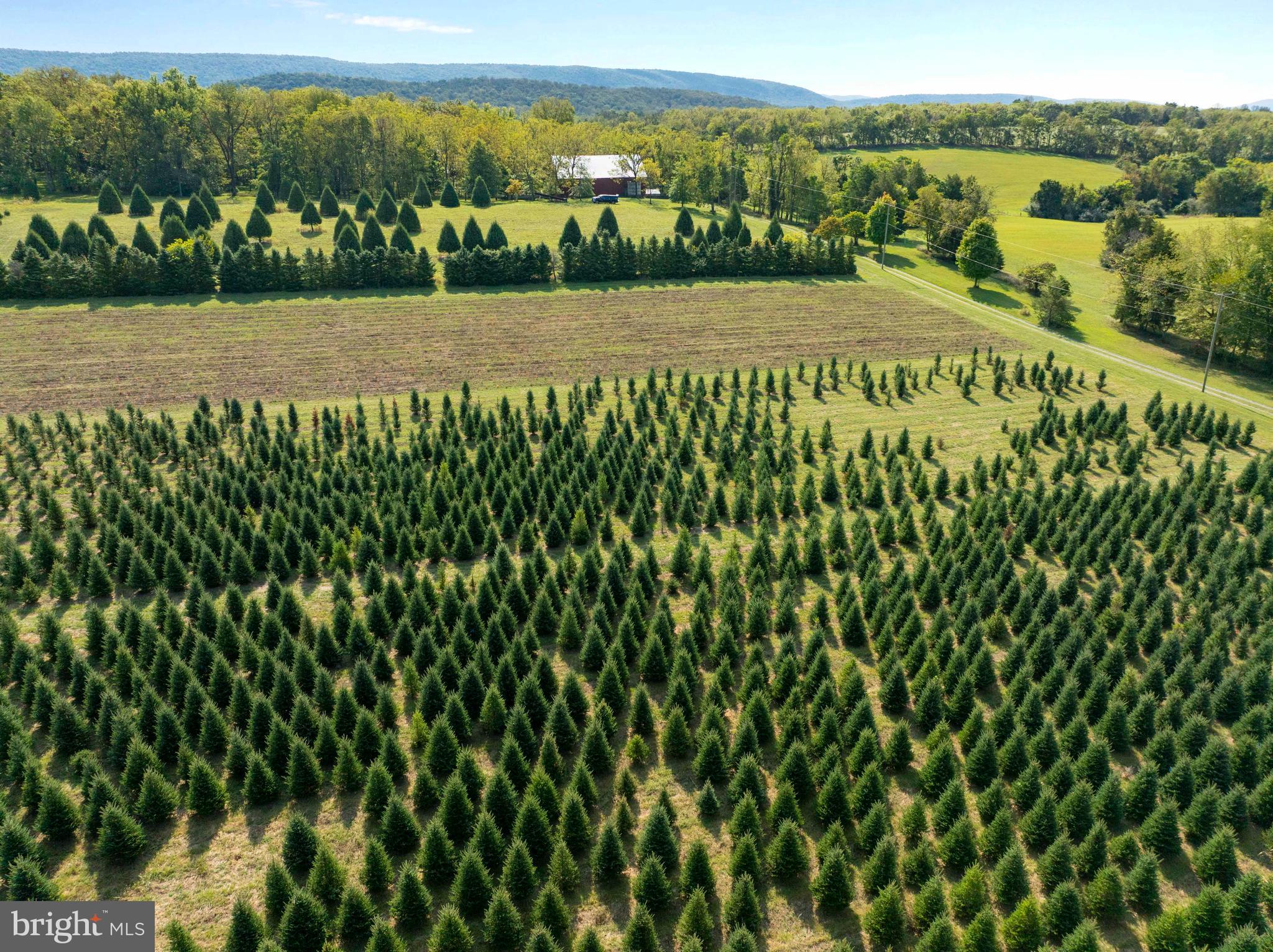 NONE AVAILABLE - Farm