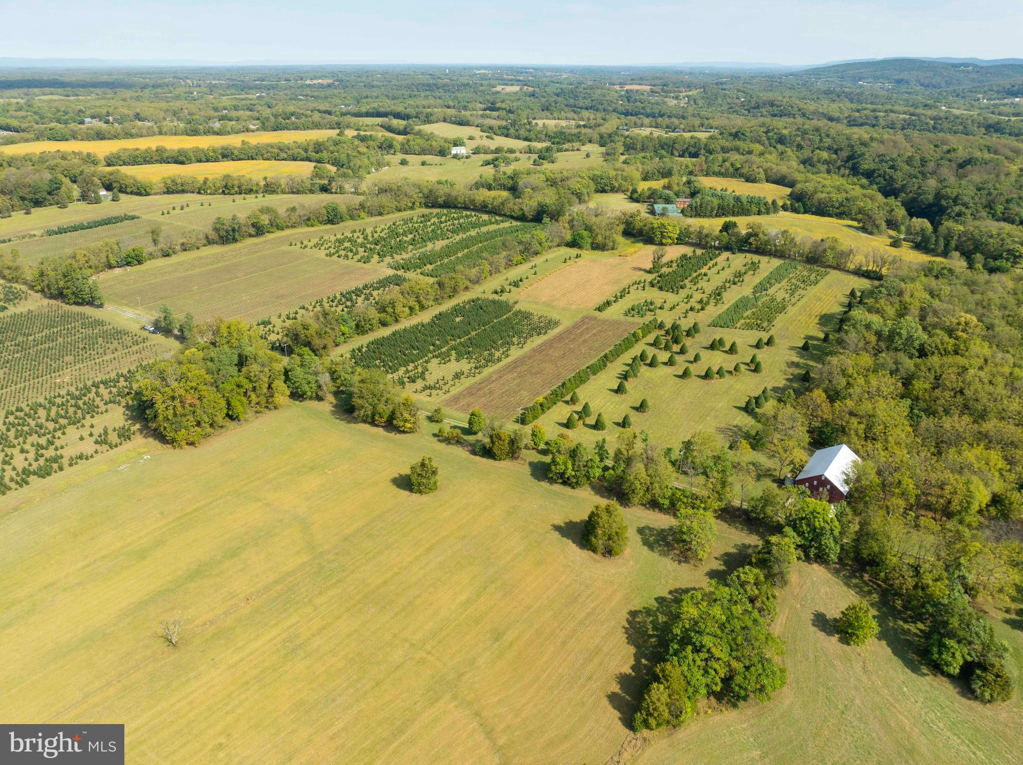 NONE AVAILABLE - Farm