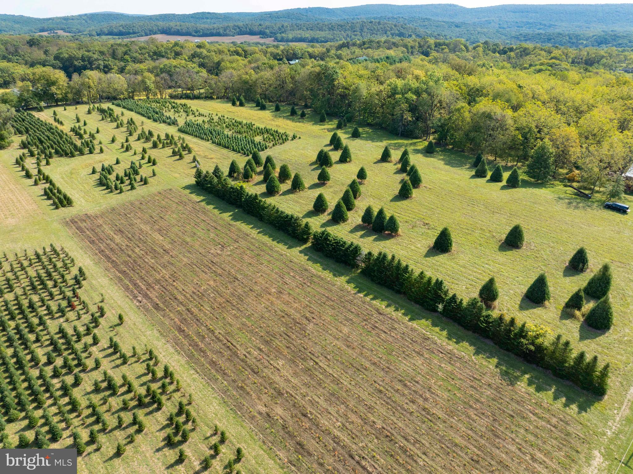 NONE AVAILABLE - Farm