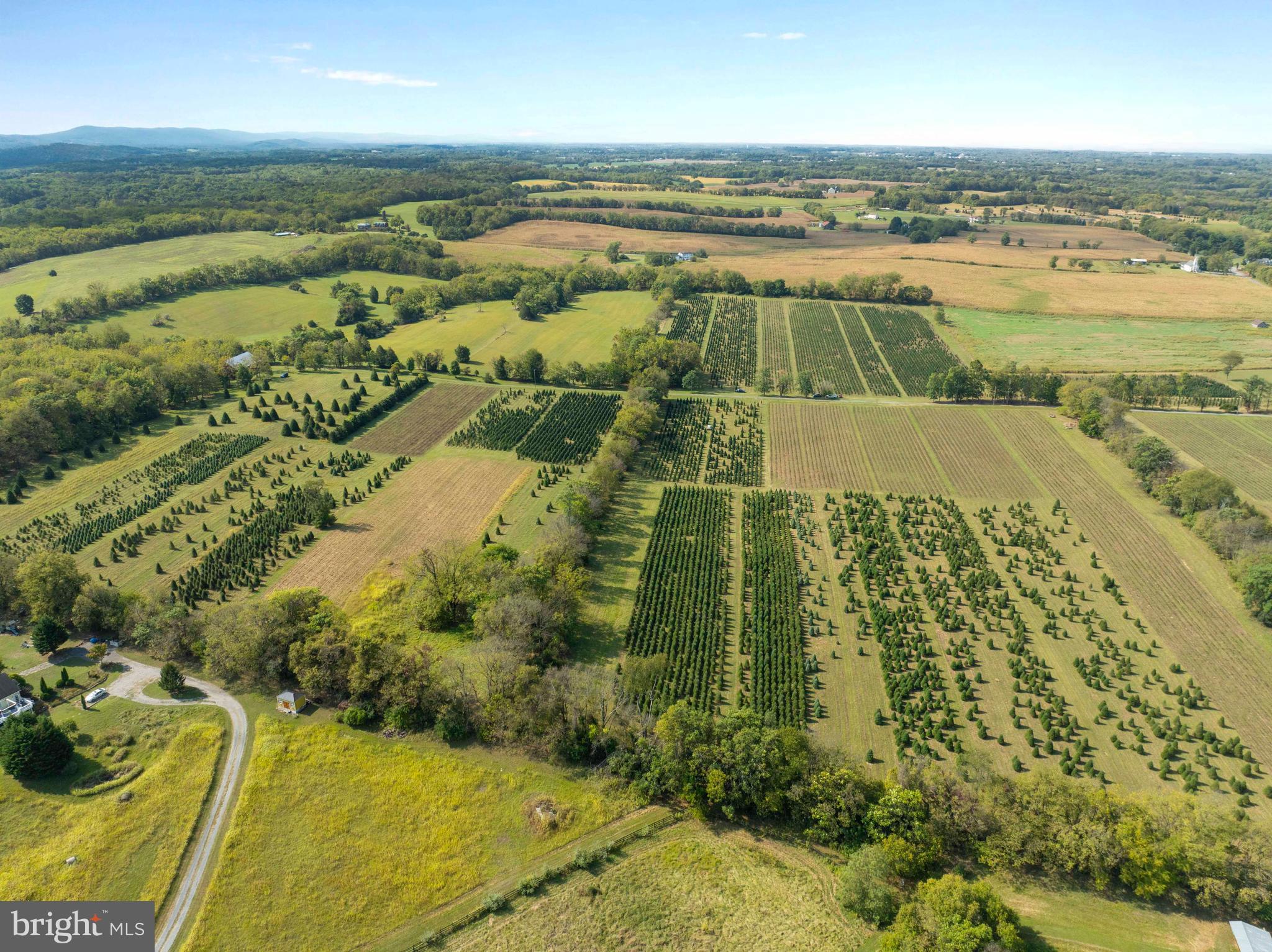 NONE AVAILABLE - Farm