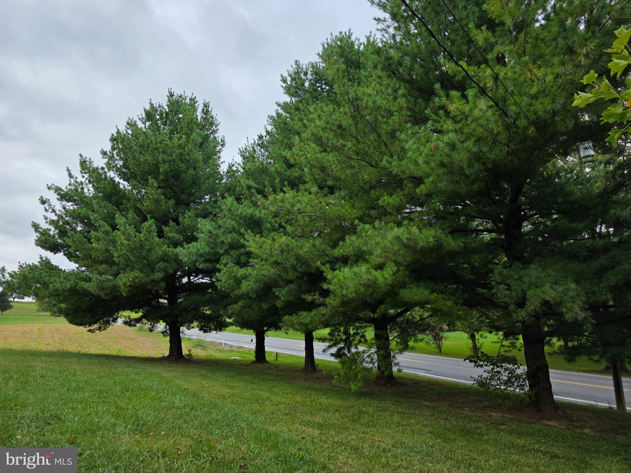 14230 FORT LOUDON ROAD