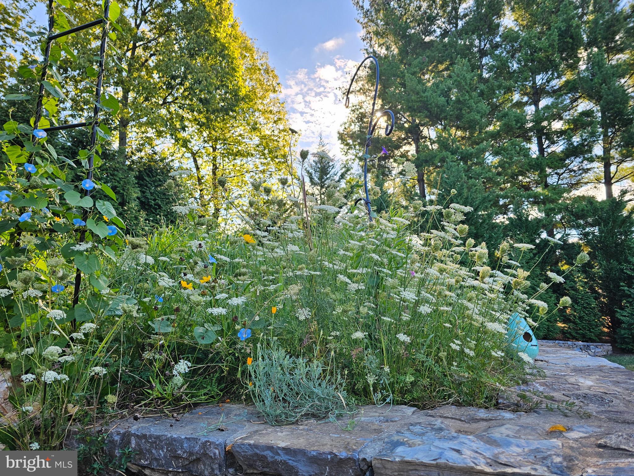 SPRINGS AT SHEPHERDSTOWN - Residential