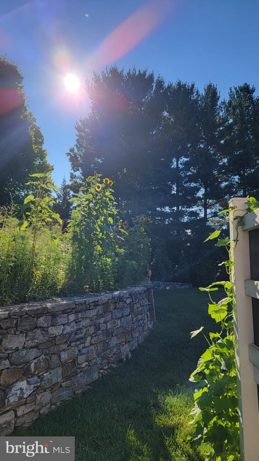 SPRINGS AT SHEPHERDSTOWN - Residential