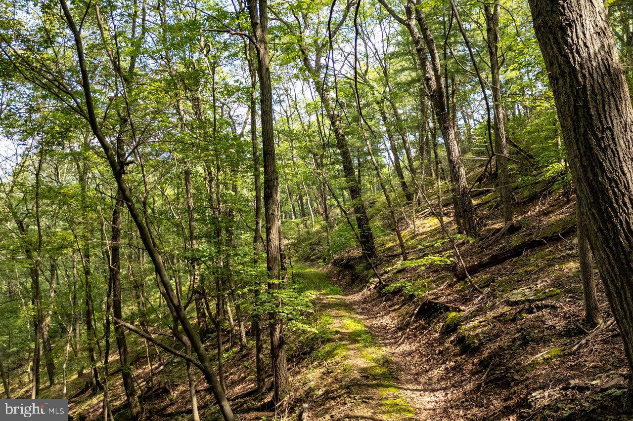 POTOMAC VALLEY OVERLOOK - Land