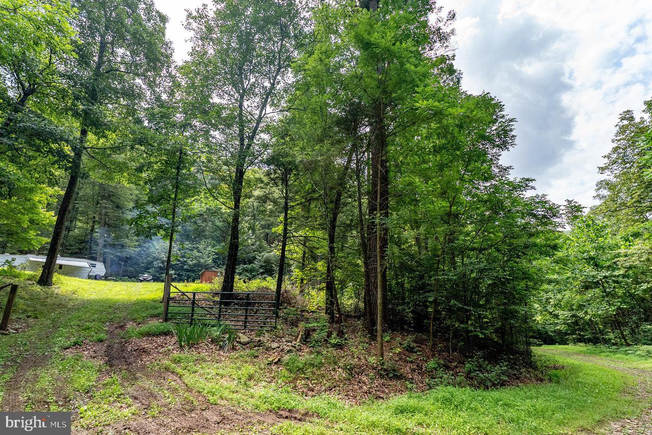 POTOMAC VALLEY OVERLOOK - Land