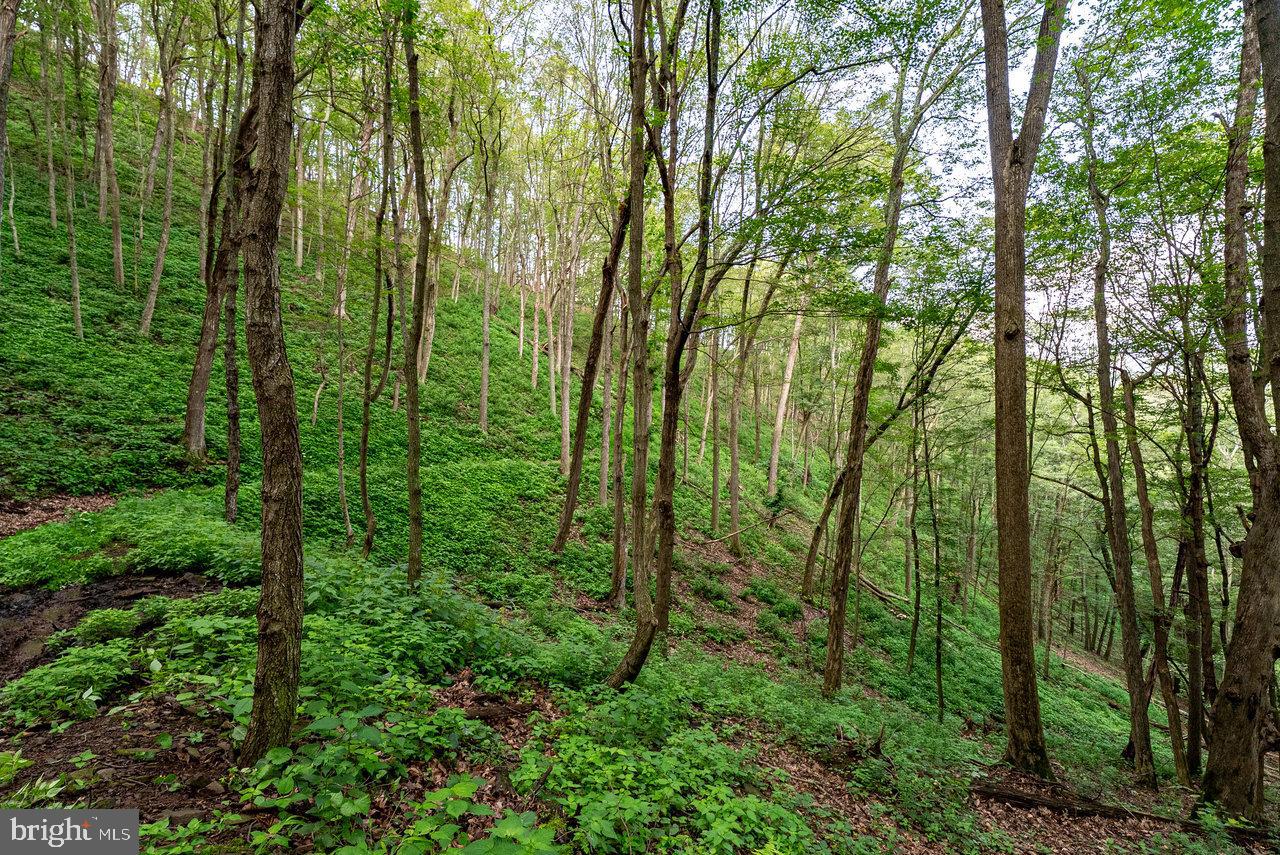 POTOMAC VALLEY OVERLOOK - Land