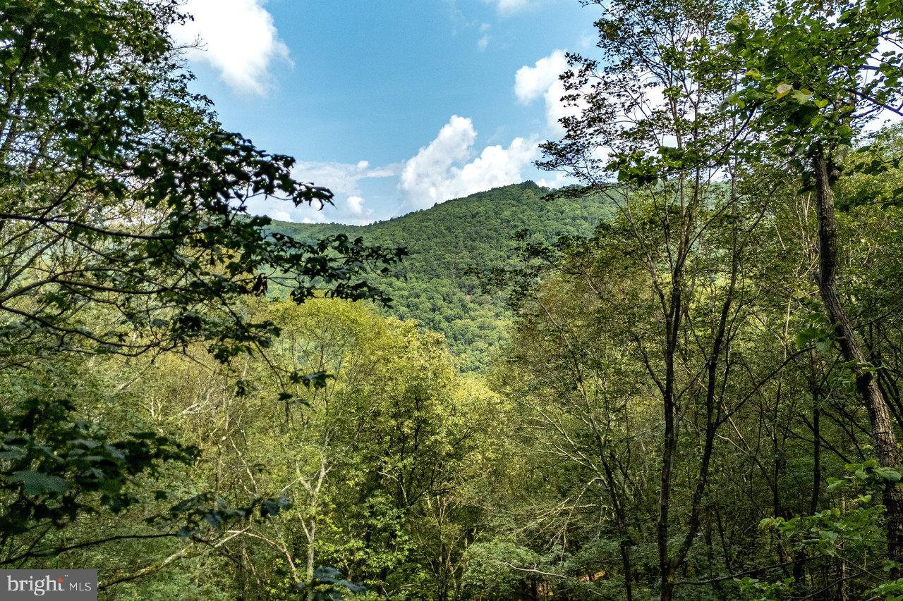 POTOMAC VALLEY OVERLOOK - Land