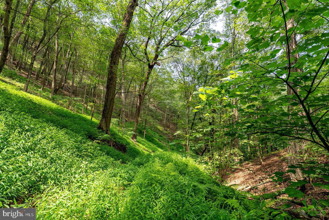 POTOMAC VALLEY OVERLOOK - Land
