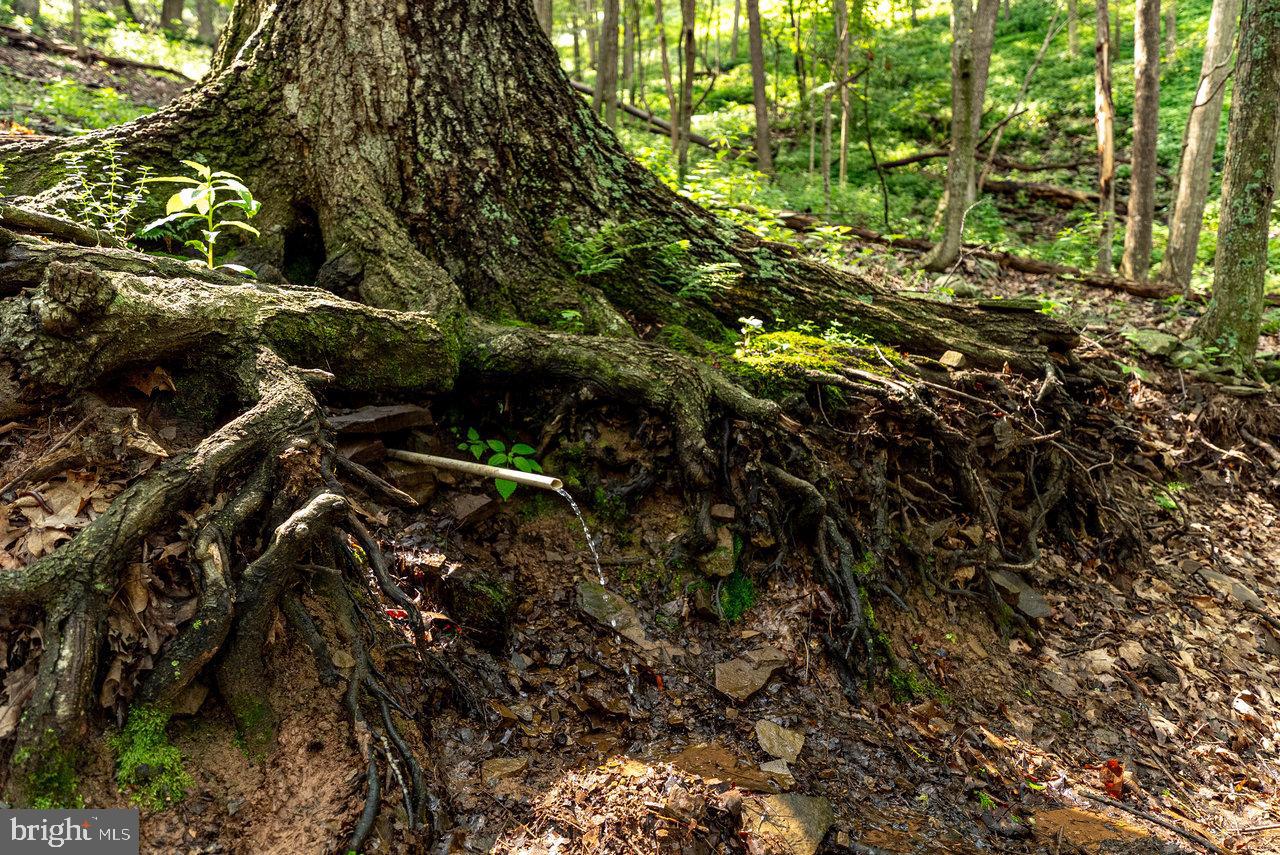 POTOMAC VALLEY OVERLOOK - Land