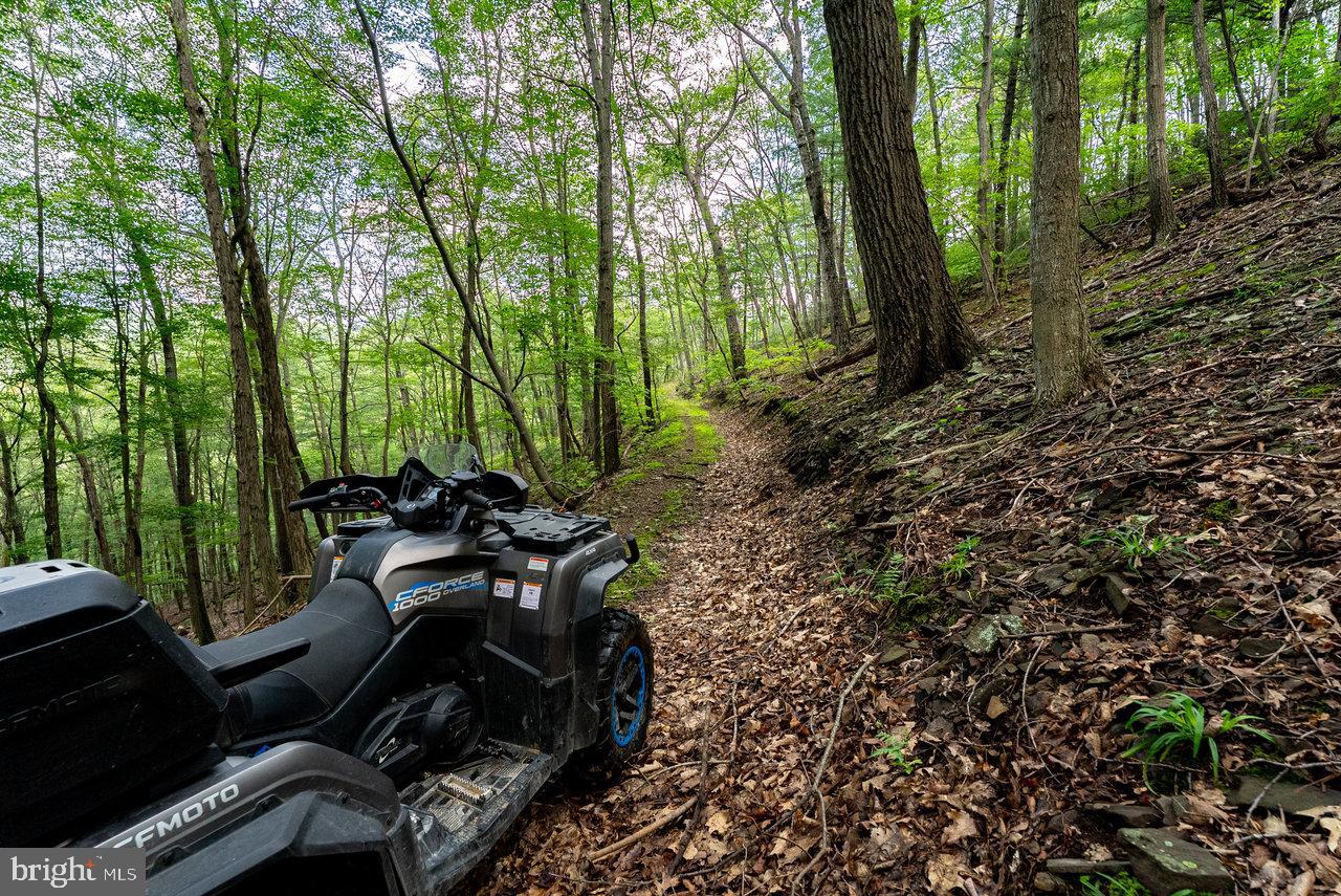 POTOMAC VALLEY OVERLOOK - Land