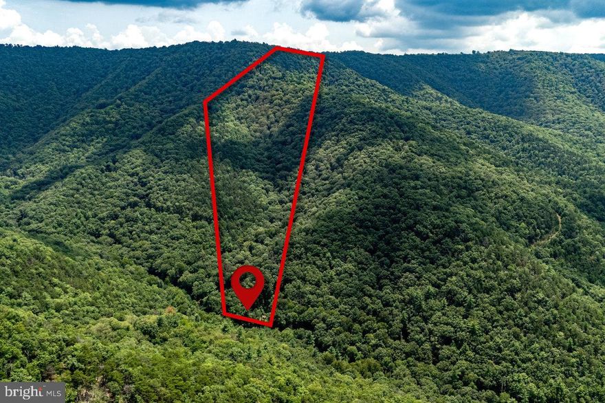 SPECTACULAR OPPORTUNITY to own a serene and peaceful little slice of heaven in West Virginia! Nearly 60 wooded, recreational acres of amazing hunting and outdoor enjoyment await! Not only are there trails throughout, there are at least 2 springs, electricity, HardyNet fiber optic (available), storage shed, and a camper! The 2004 Jay Flight is 30ft long 5th wheel in very good condition! Everything works and can sleep 8-9 folks comfortably. HOA amenities include a beautiful lake and outdoor pavilion. Located in Potomac Valley Overlook near the Hardy County line and near National Forest.