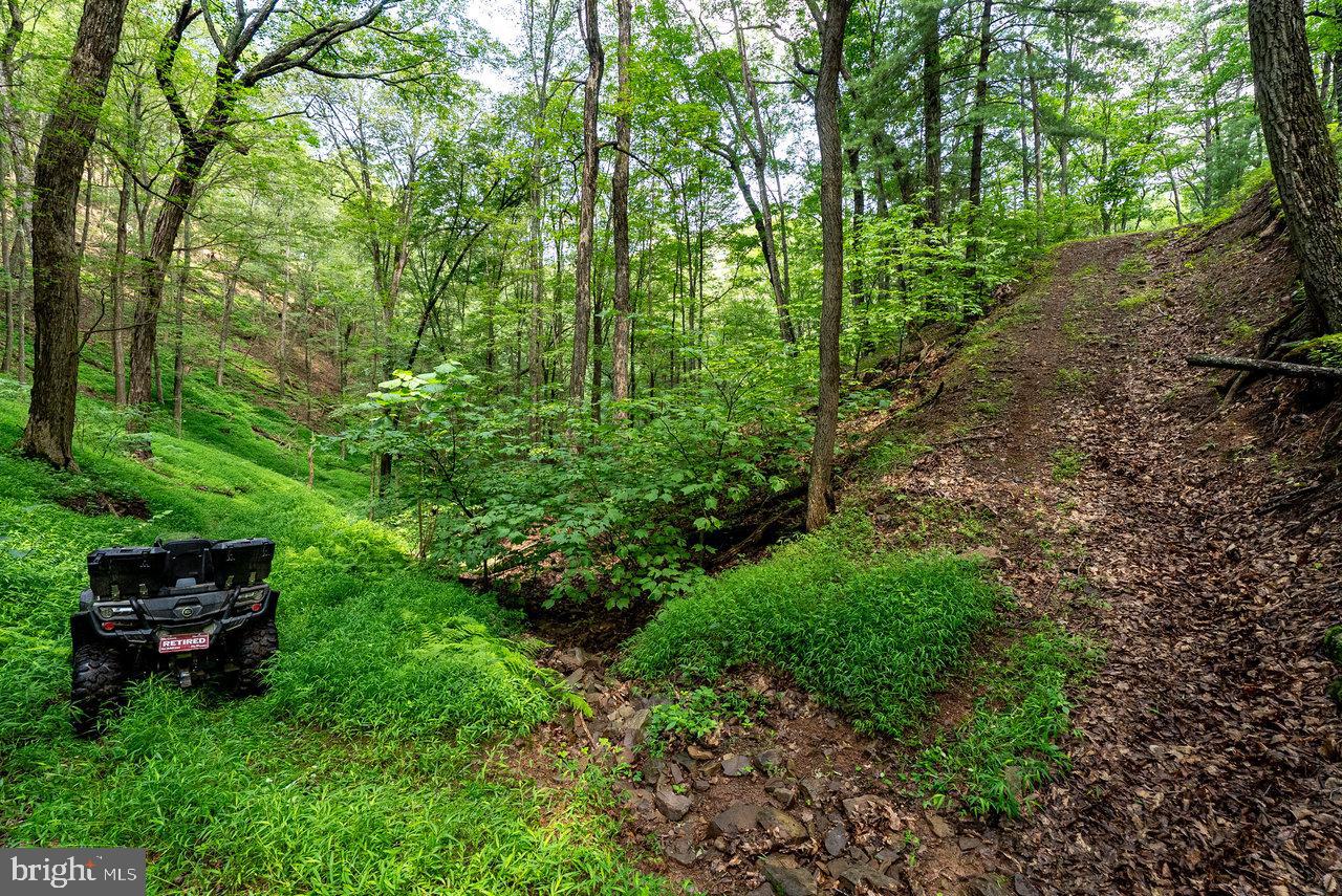 POTOMAC VALLEY OVERLOOK - Land