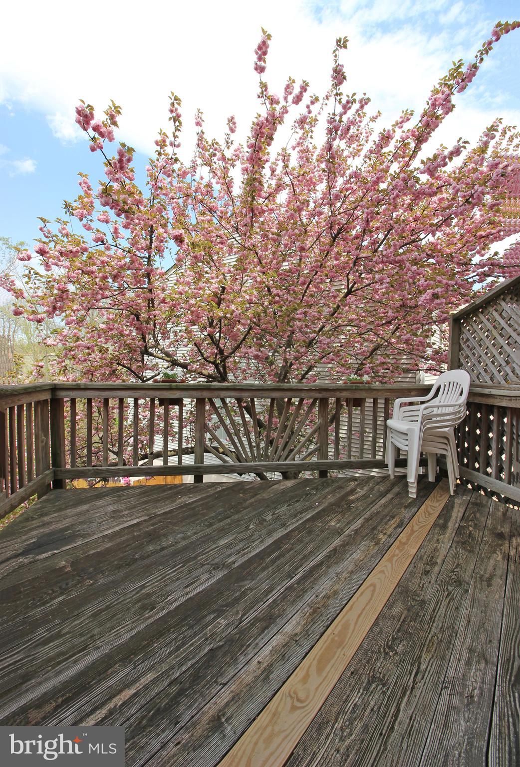 BROOKLEIGH - Residential Lease