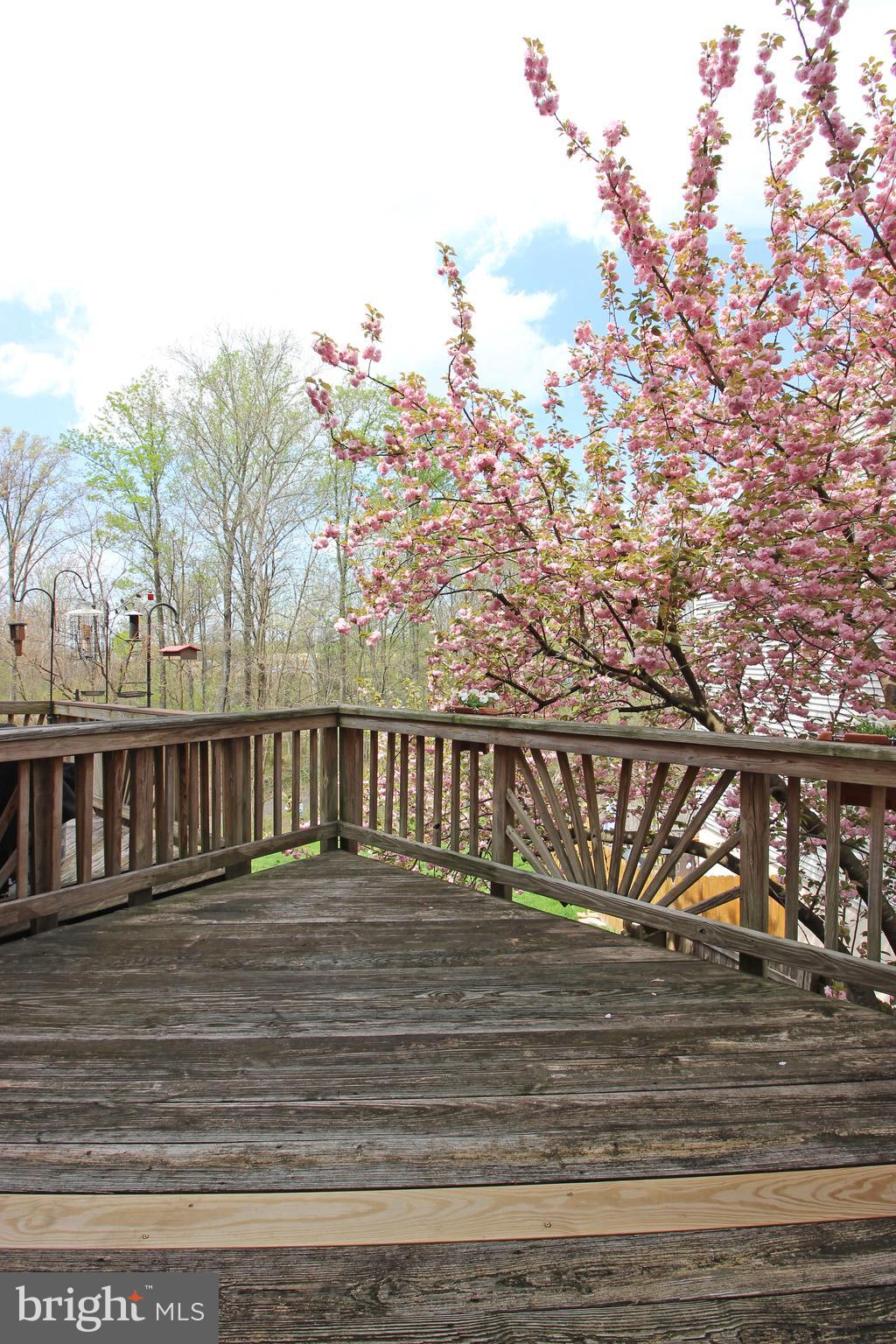 BROOKLEIGH - Residential Lease