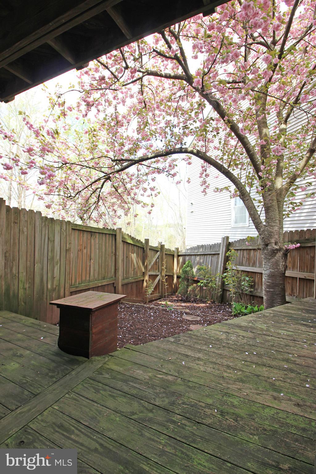 BROOKLEIGH - Residential Lease