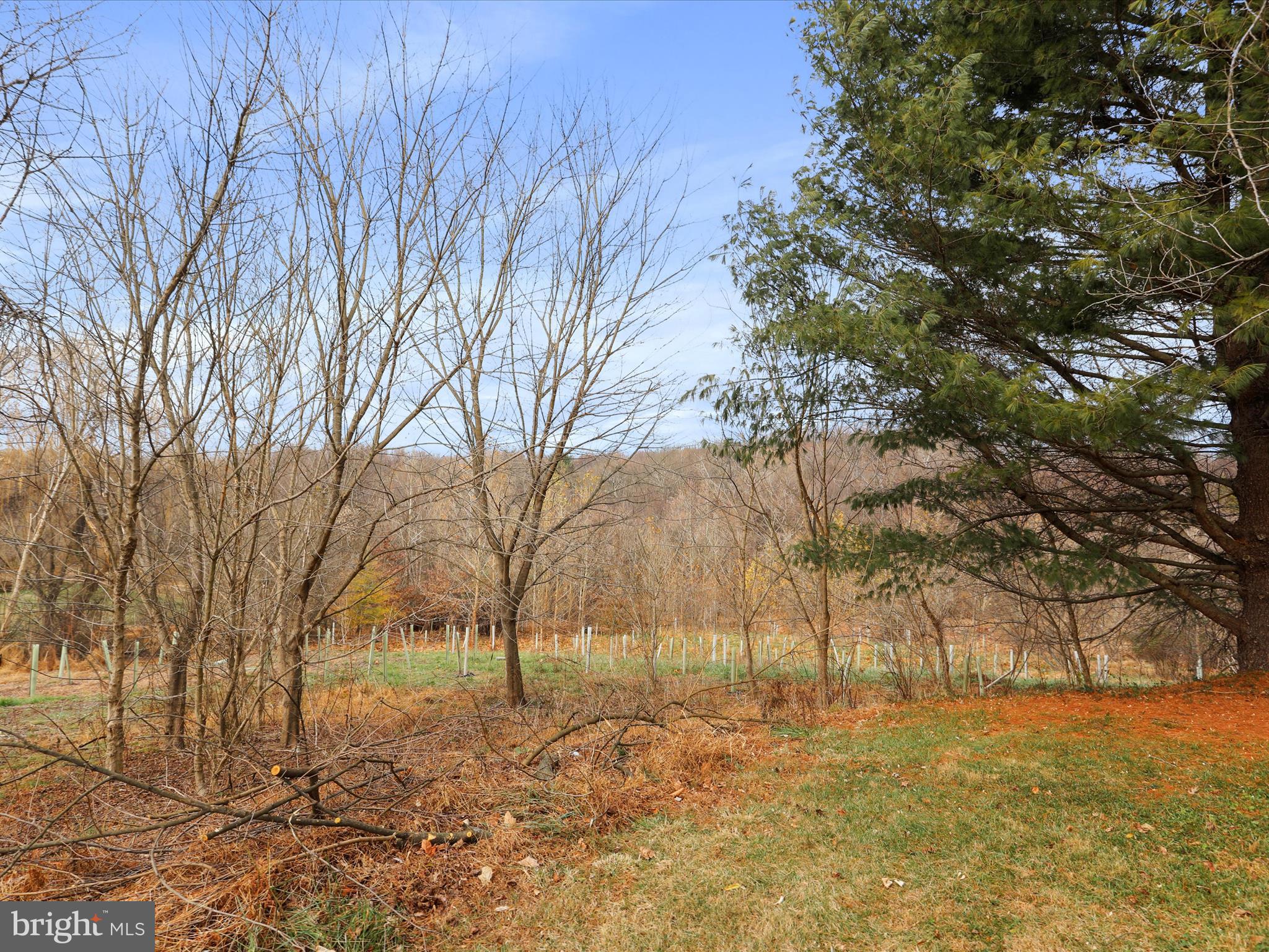 EAGLEHEAD SUMMERFIELD - Residential