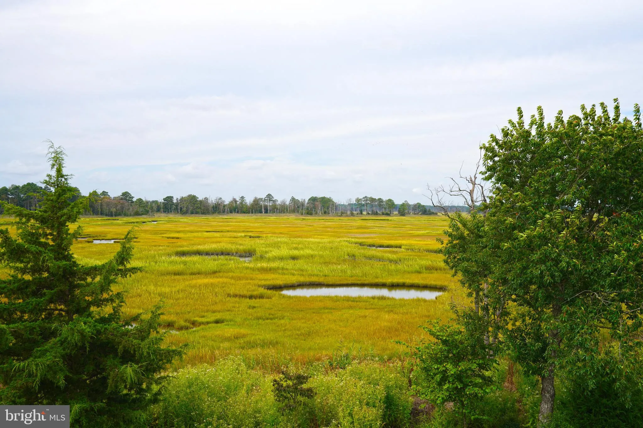 Lewes, Delaware 19958, United States, 4 Bedrooms Bedrooms, ,4 BathroomsBathrooms,Residential,Active,213748