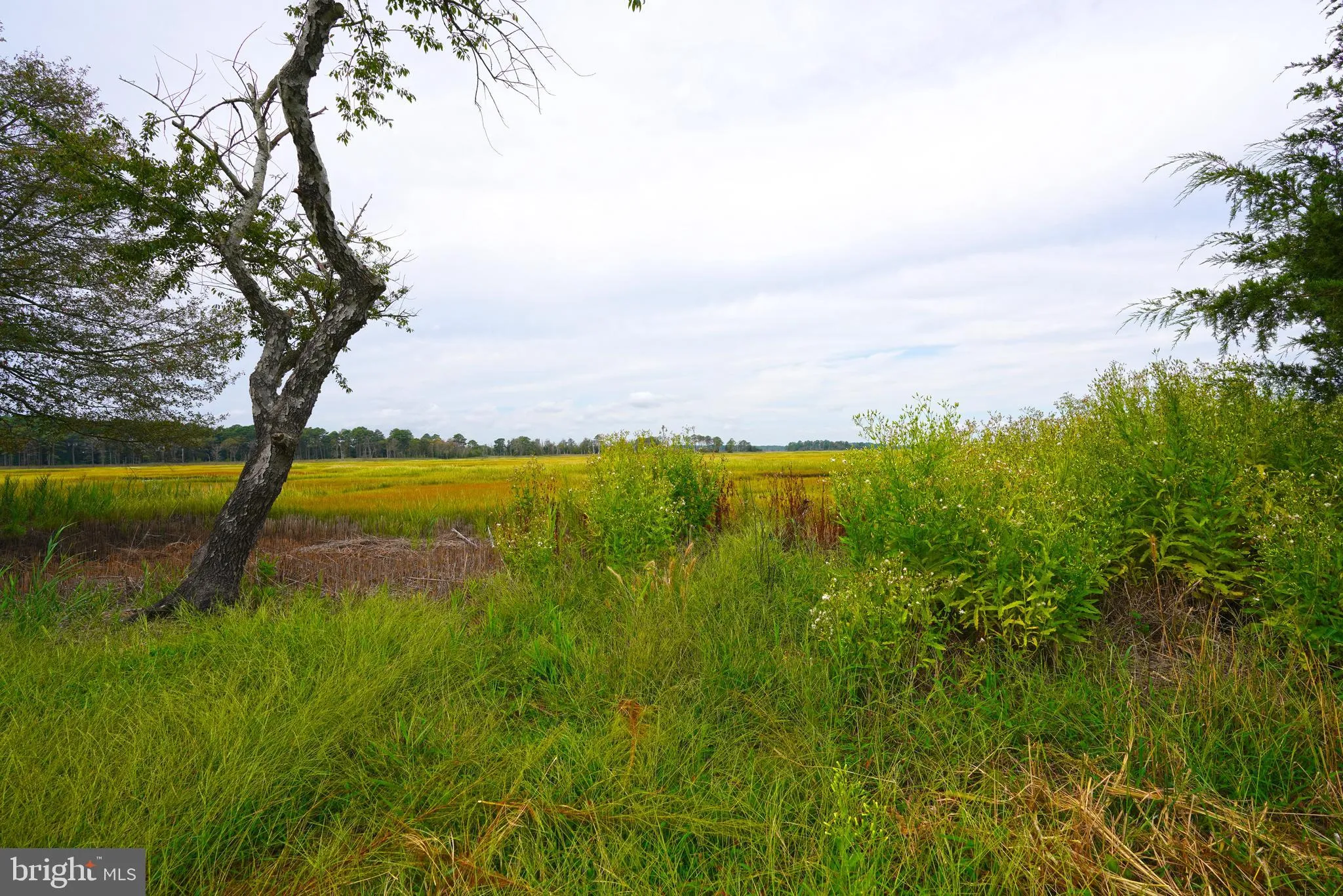 Lewes, Delaware 19958, United States, 4 Bedrooms Bedrooms, ,4 BathroomsBathrooms,Residential,Active,213748