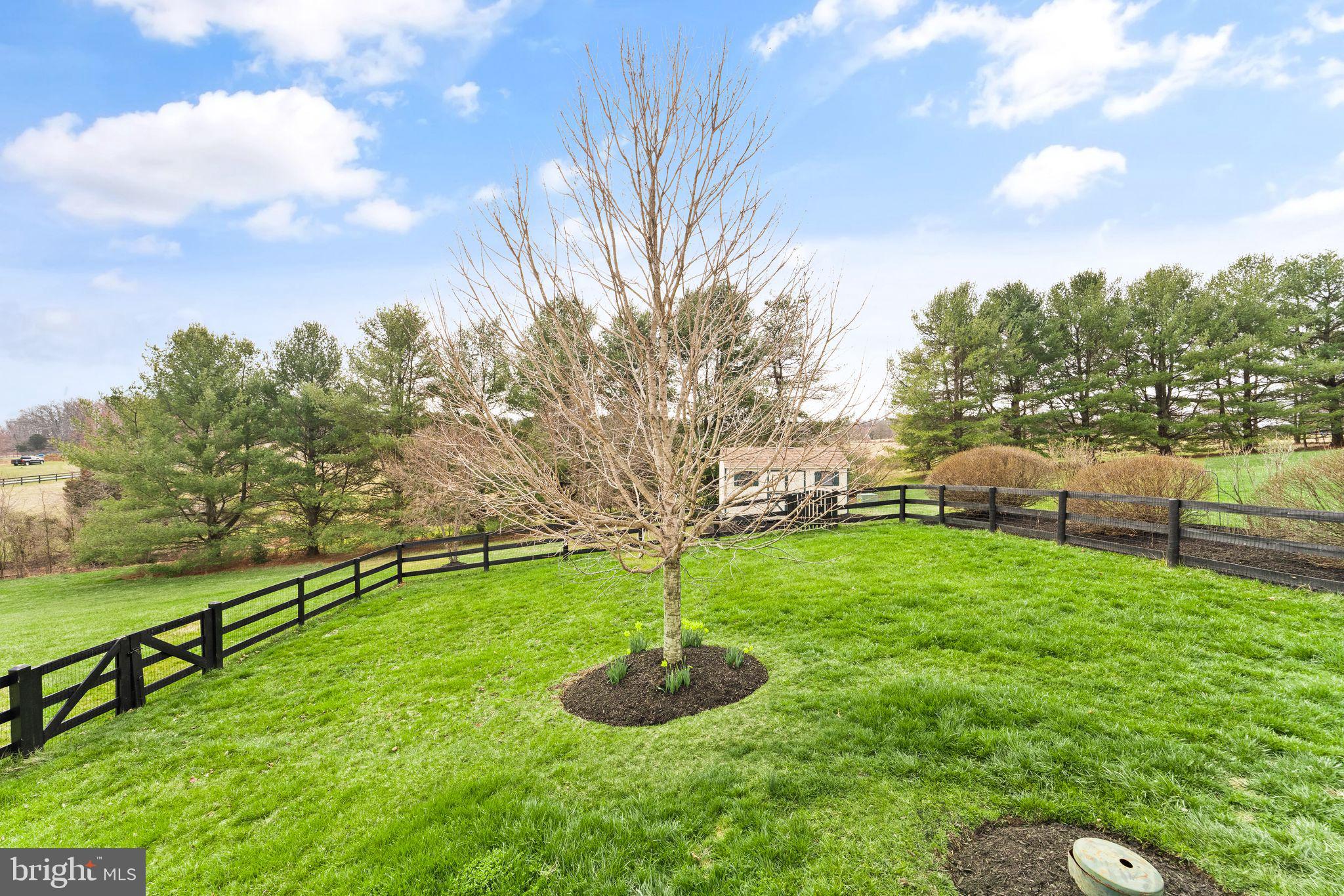 GOOSE CREEK CHASE - Residential