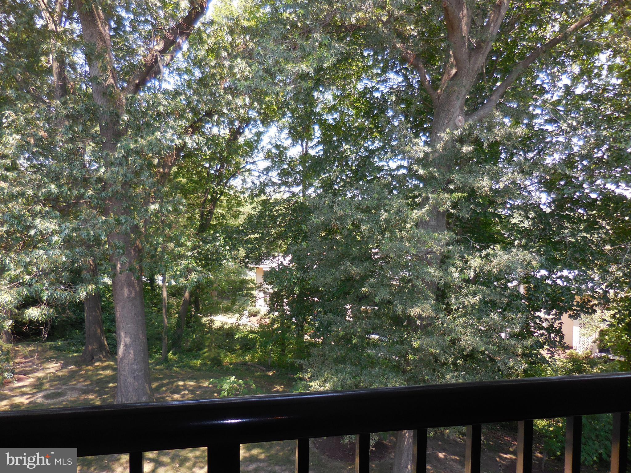 THE LANDING AT SPA CREEK - Residential